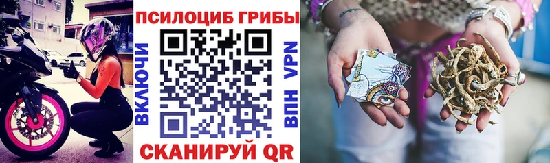 это наркотические препараты цены Краснослободск Псилоцибиновые грибы MAGIC MUSHROOMS