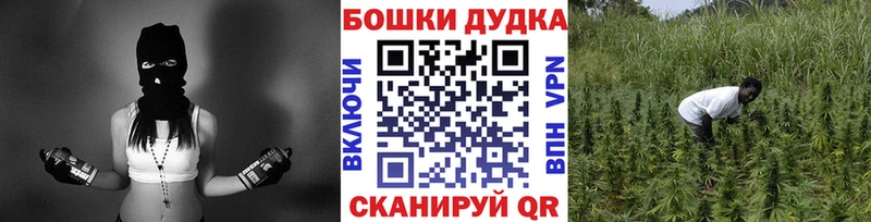 Шишки марихуана Amnesia  мега ссылка  Краснослободск 